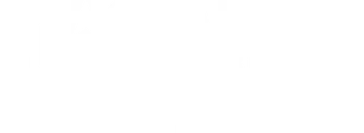 Pioner