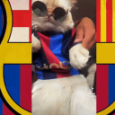 zopitha69
